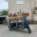 Triciclu electric BRECKNER TRAVEL 1000W 60V20Ah